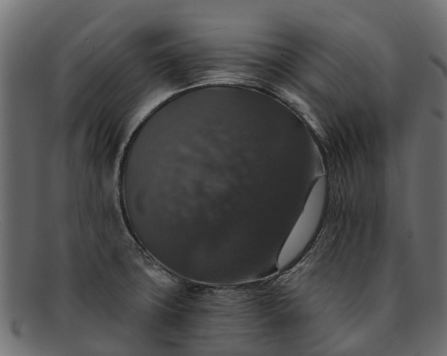 X0000091941427200709191411