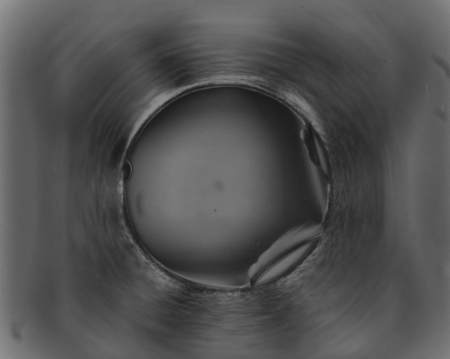 X0000091941428200709191411