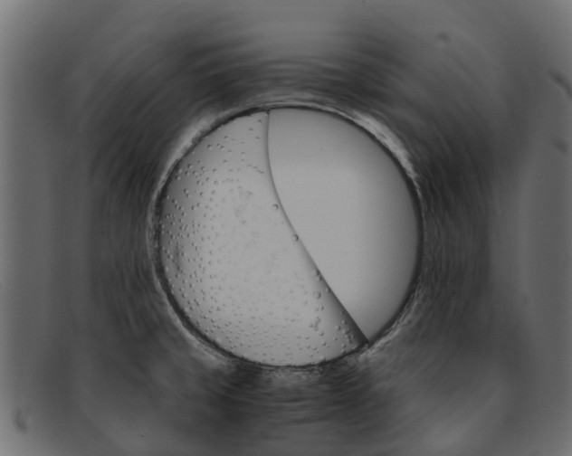 X0000091941429200709191411