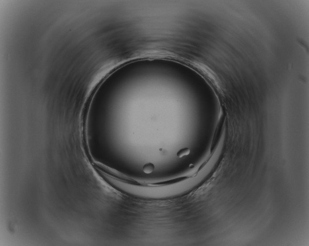 X0000091941430200709191411