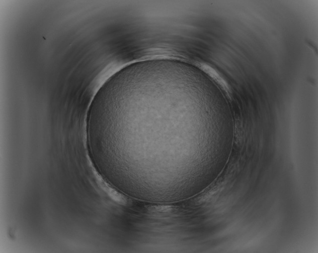 X0000091941431200709191411