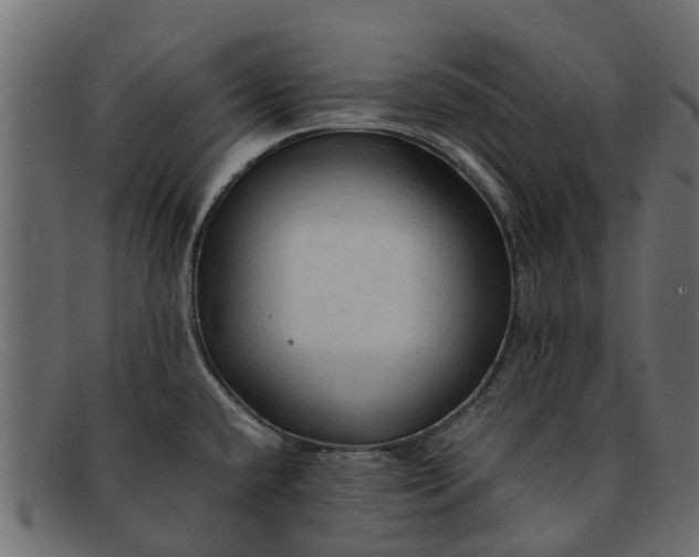 X0000091941432200709191411