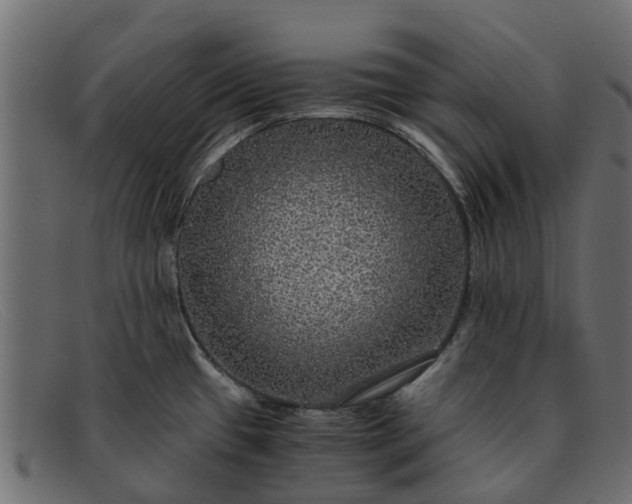 X0000091941433200709191411