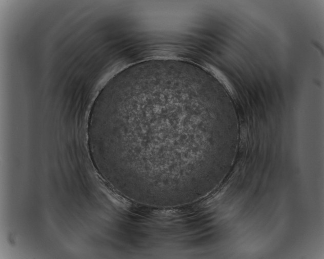 X0000091941435200709191411