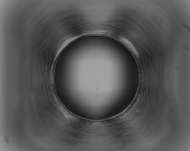 X0000091941436200709191411