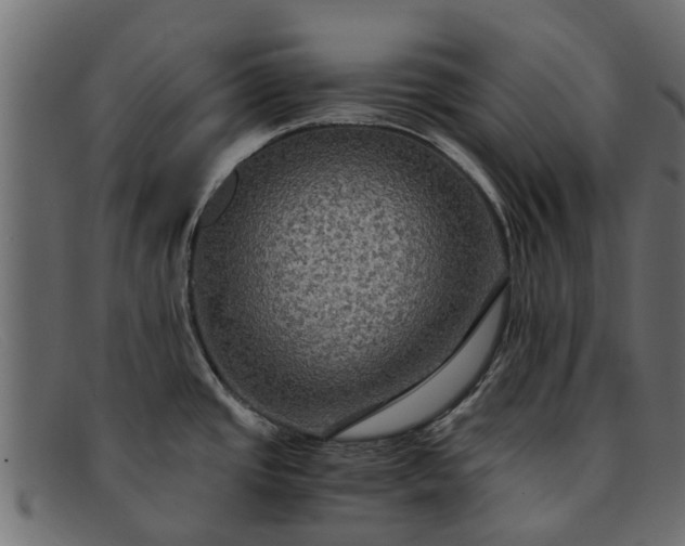 X0000091941437200709191411