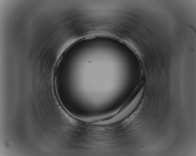 X0000091941438200709191411