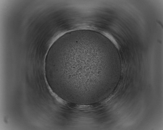 X0000091941439200709191411