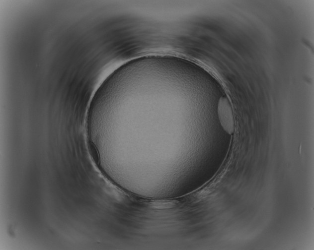 X0000091941440200709191411