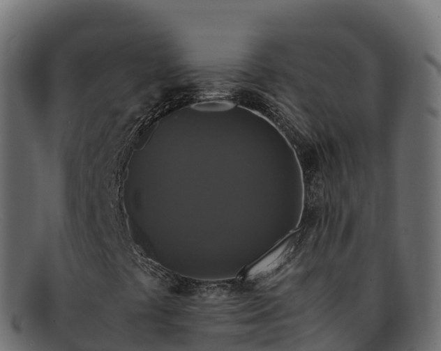 X0000091941441200709191410