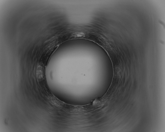 X0000091941442200709191410