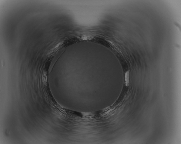 X0000091941443200709191410