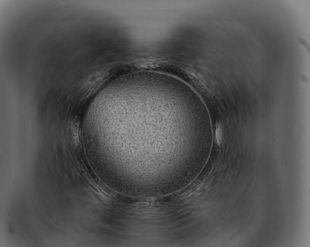 X0000091941444200709191410