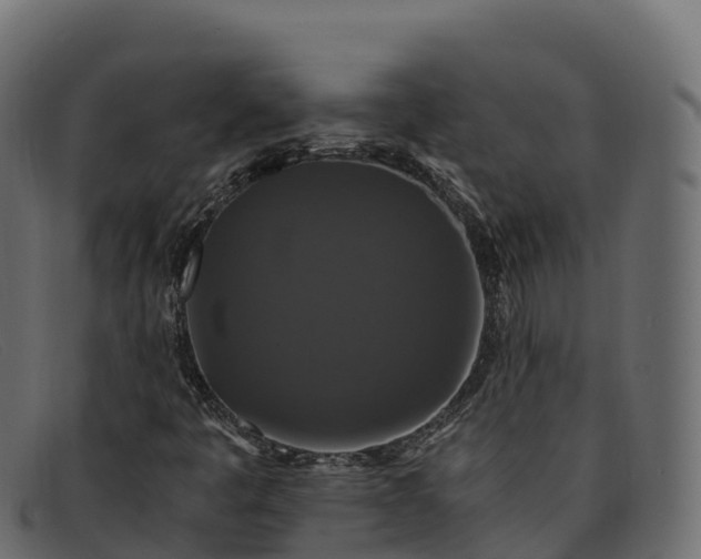 X0000091941445200709191410