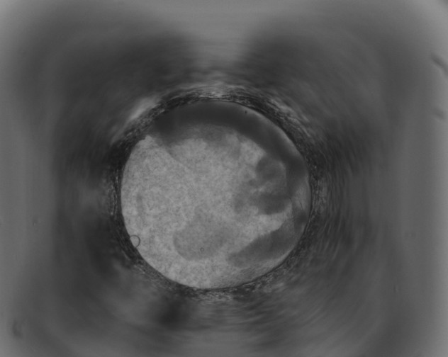 X0000091941446200709191410