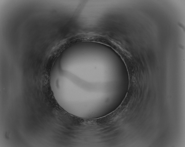 X0000091941447200709191410