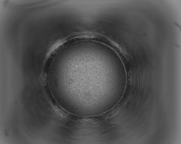 X0000091941448200709191410