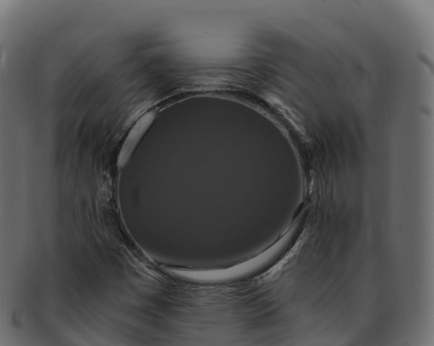 X0000091941449200709191410