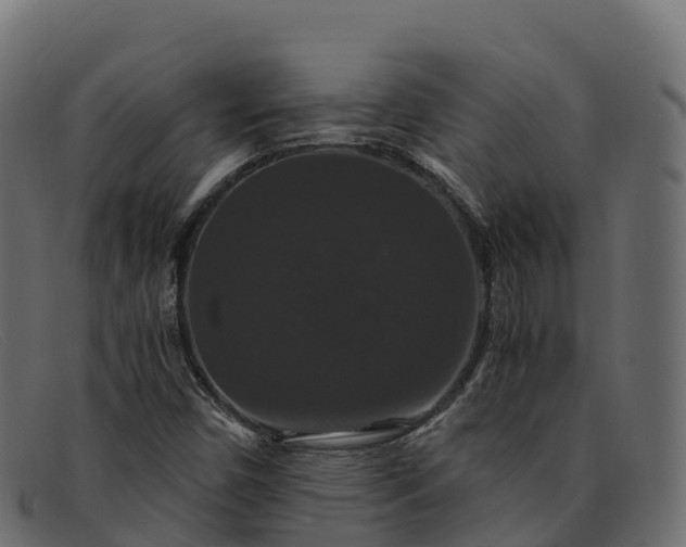 X0000091941450200709191410