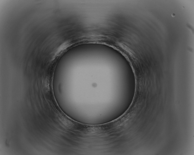 X0000091941451200709191410