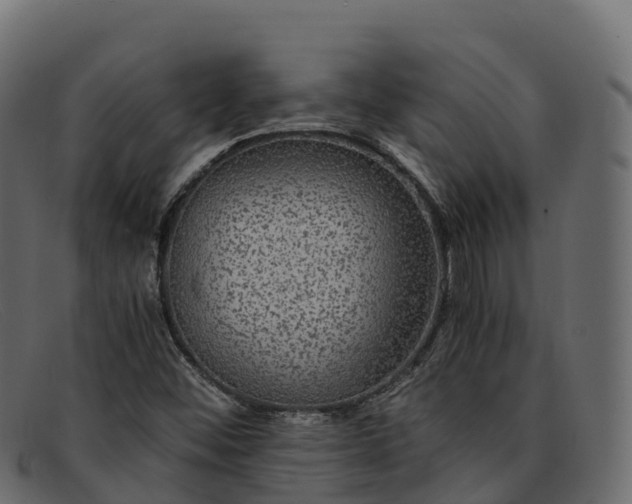 X0000091941452200709191410