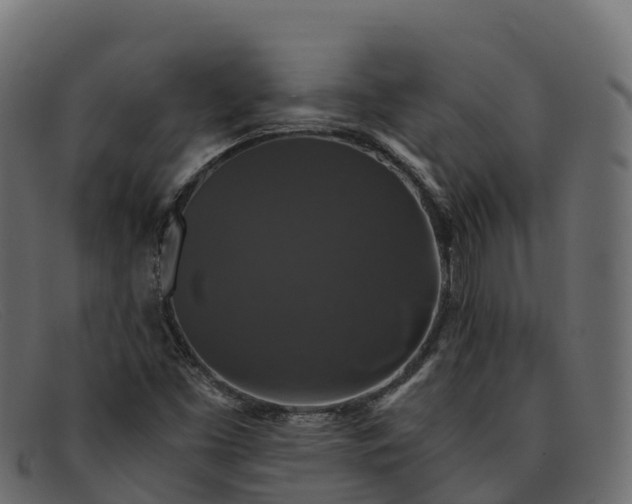 X0000091941453200709191410