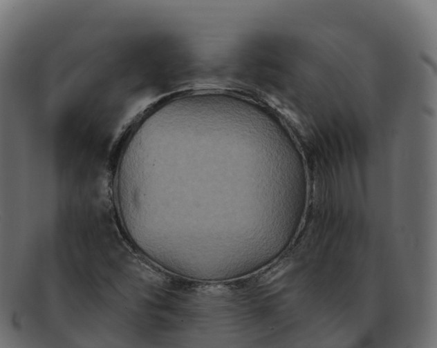 X0000091941454200709191410