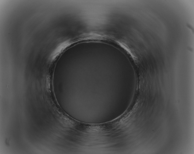 X0000091941455200709191410