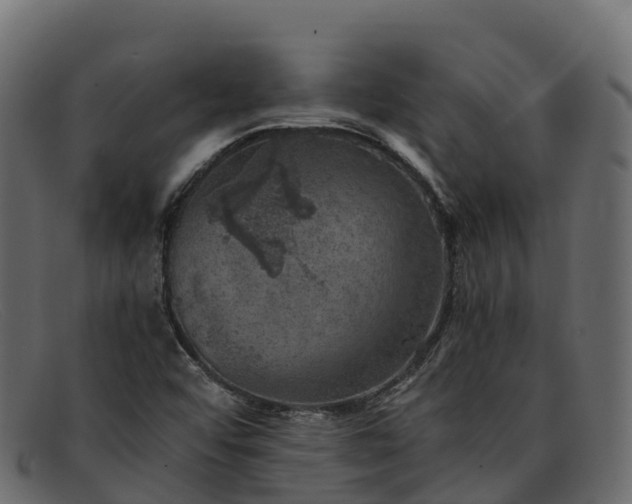 X0000091941456200709191410