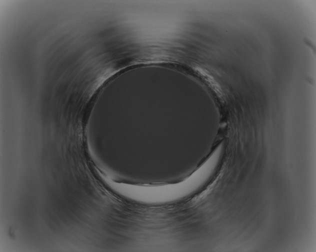 X0000091941457200709191410