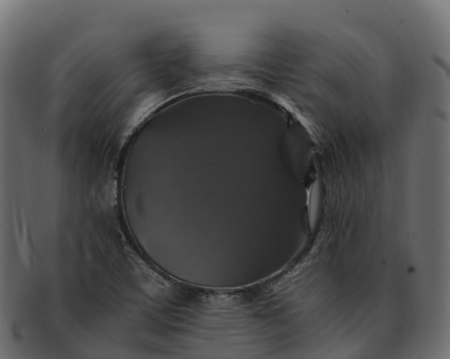 X0000091941459200709191410