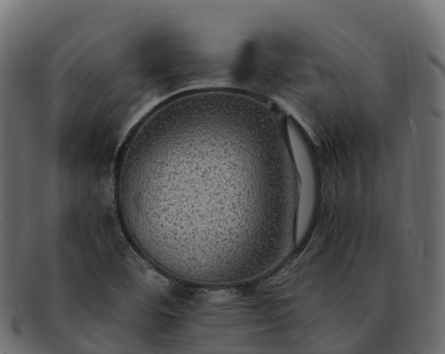 X0000091941460200709191410