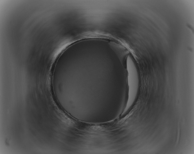 X0000091941463200709191410