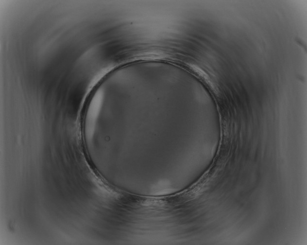 X0000091941466200709191410