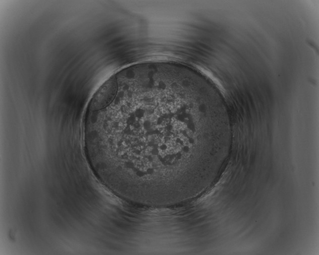 X0000091941467200709191410