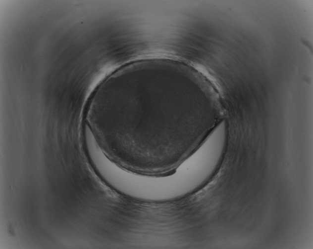 X0000091941469200709191410