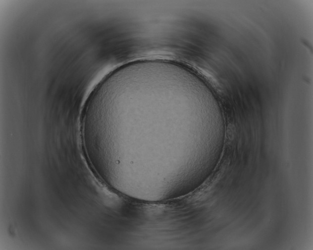 X0000091941470200709191410