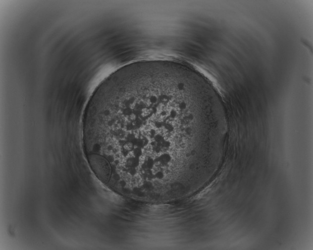 X0000091941471200709191410