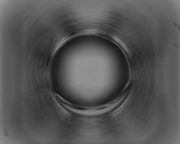 X0000091941473200709191410