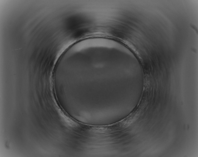 X0000091941474200709191410