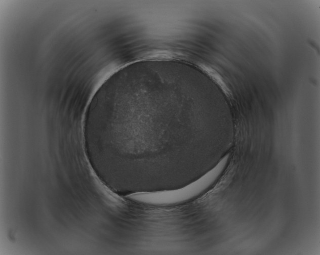 X0000091941475200709191410