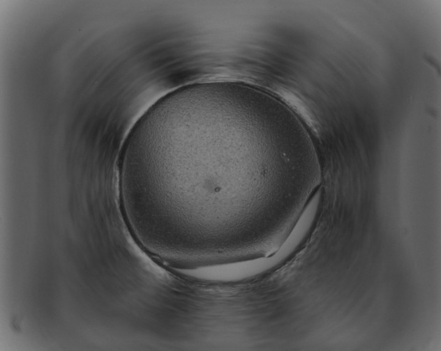 X0000091941476200709191410