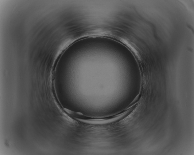 X0000091941477200709191410