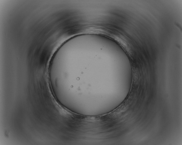 X0000091941478200709191410