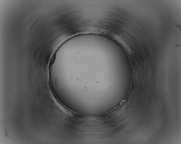 X0000091941479200709191410