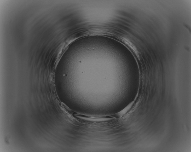 X0000091941481200709191410