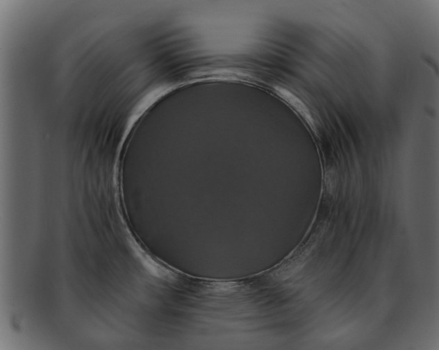 X0000091941482200709191410