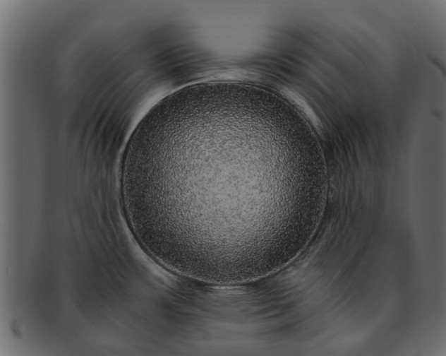 X0000091941483200709191410