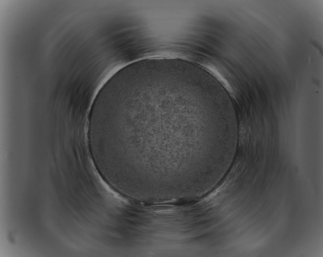 X0000091941484200709191410