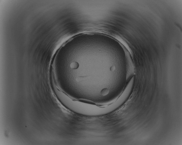 X0000091941485200709191410